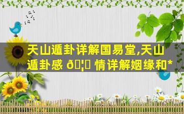 天山遁卦详解国易堂,天山遁卦感 🦊 情详解姻缘和*